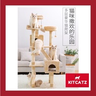 [READY STOCK] Luxury Cat Tree House Cat Tower Condo Tree Bed House Pet House (173CM)
