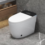 ‍🚢Smart End Integrated Smart Toilet Automatic with Water Tank Waterless Pressure Limit Household Siphon Smart Toilet