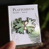 細菌鹿角蕨徽章 - 刺繡布章 - 別針款 - 植物飾品配件