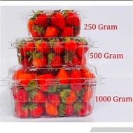 Mika Fruit 500 ML / Fruit Box 500 ML technoplastica Plastic Container