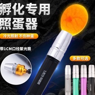 Taoli Shop🌸Hot Sale Small Parrot Eggs Professional Cold Light Aluminum Alloy Egg Illuminator Hatchin