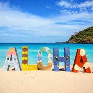 Aloha Signage Lilo and Stitch Theme Painted Standee Paper Mache for Home or Party Decor