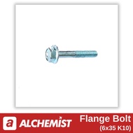 Universal 6x35 K10 Flange Bolt for All Brands Universal 6x35 K10 Flange Bolt for Automatic Motorcycl