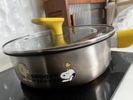 Snoopy & Friends 易潔鑊
