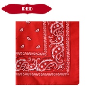 Paisley Bandana Square Headwear 55x55cm Fashion Classic Hip Hop Vintage Headband Bandanas Scarf