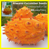 เมล็ดพันธุ์ แตงหนาม Fire Ginseng Fruit Seeds - งอกง่าย 30เมล็ด/ซอง แตงหนามคิวาโน่ Kiwano Cucumber Seeds Vegetables Fruit Seeds for Planting Kiwano Plants Seeds เมล็ดพันธุ์แตงหนามคิวาโน่ เมล็ดผลไม้ เมล็ดพันธุ์ผลไม้ เมล็ดพันธุ์บอนสี บอนไซ ต้นไม้มงคล ต้นไม้