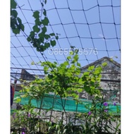 Trellis net size 2m x4m