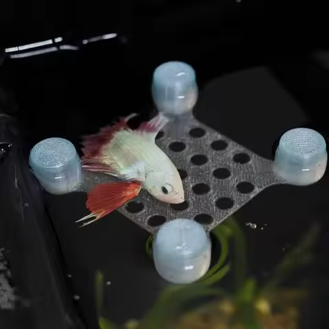 Betta Fish Rest Bed Aquarium Betta Hammock Bed Fish Tank Resting Platform for Betta