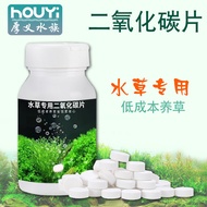 Carbon Dioxide Tablets Special CO2 Tablets for Grass Tank Effervescent Tablets Slow Release Tablets 
