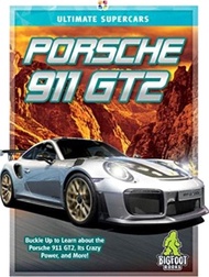 49677.Porsche 911 Gt2