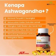 ASHWAGANDHA KSM 66 BIONATURA SOFT GEL MERAWAT PENYAKIT 3 SERANGKAI