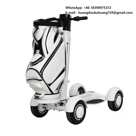 Manufacturer Direct Sale Foldable Four-Wheel Rear-Wheel Drive Electric Golf Cart