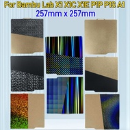 Untuk Bambu Lab A1/x1/p1 Plat Binaan 257x257 Lembaran Keluli Spring Pei Peo H1h Pey Lembaran X1c P1s