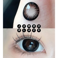 Molicon Jumbo 16.5mm Contact Lens - Free Lens Case