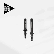Tubeless Valve Extender (removable type)