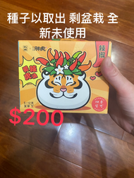 胖虎盆栽