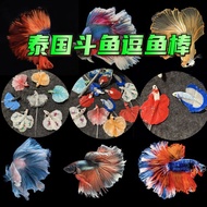 Aquarium Thai fighting fish stick teasing fish stick handmade fighting fish toy exhibition tail inte