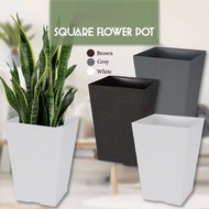 PLASTIC POT SQUARE 2455 2454 2453 2512 2511