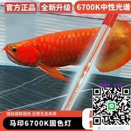 魚缸燈馬印13000K紅龍金龍發色燈6700專用防水魚缸燈側燈誘色潛水燈2700水族燈