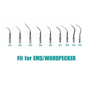 MATA Dental tip scaler G1 G2 G3 G4 G5 P1 P2 P3 P4 perio sharp pointed eye scaller scalling DTE saile