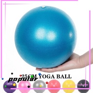 POPULAR Yoga Ball, Indoor PVC Pilates Exercise Gym Ball, Anti Burst Balance &amp; Stability Fitness Exercise Balls