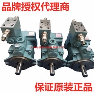 P08/P22/P36/P46/P70 Taiwan Xuhong HHPC Plug Pump P16-A3/A2/A1/A0-F-R-01