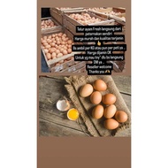 Telur Ayam Negeri PREMIUM - 15 KG ( SATU PETI ) GRADE A telor ayam negri lokal Fresh dari peternakan