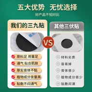Three-Nine Stickers Moxibustion Stickers Children's Three-Nine Acupoint Health Care Stickers Cream T