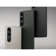 Sony Xperia 1 V 12/512GB