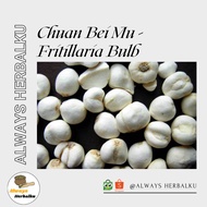 Chuan bei MU Chuan bei/ Bulbus fritillariae/ -500gr