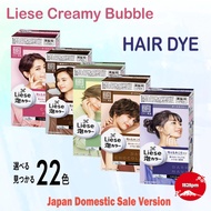 Liese Design/ Natural Series Creamy Bubble Hair Dye  - 22 Colours (Singapore's No. 1 Bestselling Hair Dye)