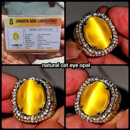 Optima ceylon Sri Lanka cat eye Gemstonenatural