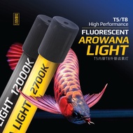 Sianlon Arowana T5 FLUORESCENT Light/Aquarium Tanning Light/Arowana Tanning Light/祥龙传奇T5卤素灯/龙鱼烤灯/水族灯/烤灯