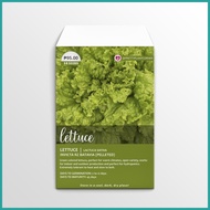 ∱ ☼ ➝ Invicta RZ Batavia Pelleted Lettuce Seeds