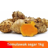 Readyy fresh Temulawak 1kg fresh wet tubers