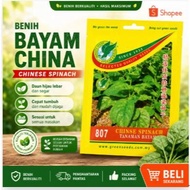GE 807 GREEN CEYLON SPINACH / TEMBAYUNG HIJAU