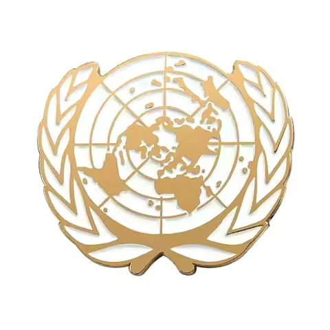 1pc United Nations Peacekeeping Force UN BLUE BERET Hat Badge UN Golden Badge