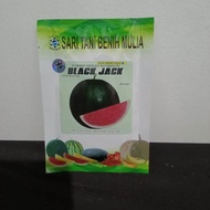 Benih Semangka Non Biji Jumbo Black Jack F1 Masa Berlaku Benih 2026