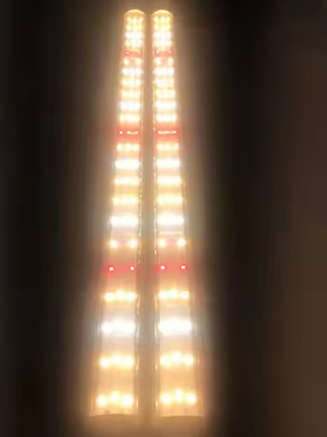 led Grow Light 2pcs/lot 600mm 130W Board Samsung Quantum lm301h 3000k 3500K 5000K R660 UV IR Full Sp