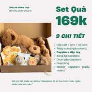 [GIFT]Capybara Gift Set with Capybara Smashing Hands for Lover, Birthday Gift, October 20