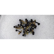 SKRU BLEEDING/SKRU BREK/ SKRU BUANG ANGIN M8X1.25