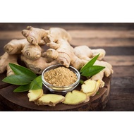 Temulawak Fresh Dari Kebun