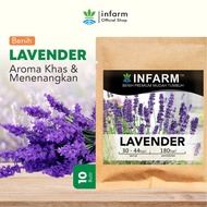 Bibit Benih Bunga Lavender Bibit Tanaman Bunga Benih Tanaman Bunga Hias Bungan Hidup Lavender