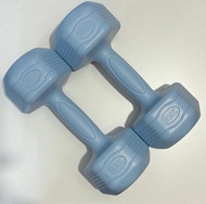 啞鈴 dumbbell 2kg x 2
