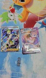ptcg  小菊兒全圖
