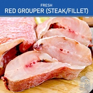 Fresh Red Grouper Steak/Fillet