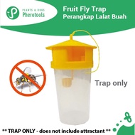 Pherotools Oriental Fruit Fly Trap Perangkap Feromon LALAT BUAH (PERANGKAP Sahaja) Gardening Alat Pe