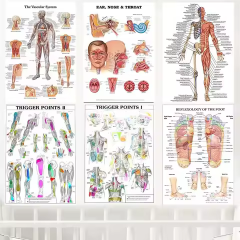 Anatomy Trigger Points Chart Educational School Poster Human Body Science Canvas Art for Medical Cla