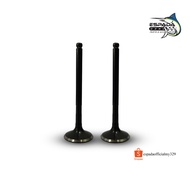 Espada Valve Set Racing/Standard - Srl 115 fi/Lagenda 115 fi (24/28 25/30)