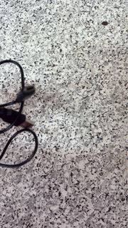 Nds遊戲機充電線